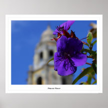 Princesa Flower Poster