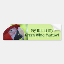 Princesa Green Wing Macaw Etiqueta De Parachoque