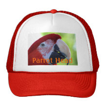 Princesa Green Wing Macaw Gorros