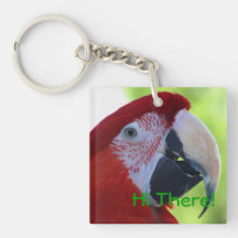 Princesa Green Wing Macaw Llaveros