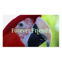 Princesa Green Wing Macaw Plantillas De Tarjeta De Negocio