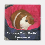 ¿Princesa Rust Bucket, supongo? Imán