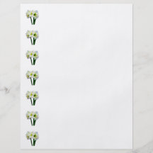 Princesa verde del Amaryllis Tarjeton