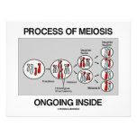 Proceso del interior en curso de la meiosis invitaciones personalizada