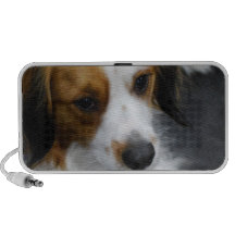 Producto del personalizar altavoz de viaje