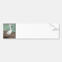 Producto del personalizar etiqueta de parachoque