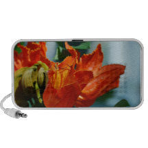 Producto del personalizar iPod altavoz