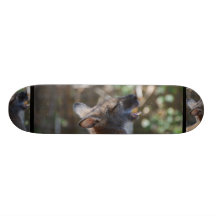 Producto del personalizar monopatín personalizado
