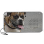Producto del personalizar mp3 altavoces