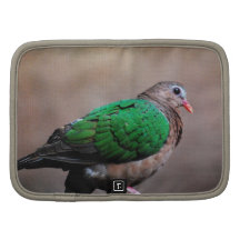 Producto del personalizar organizador