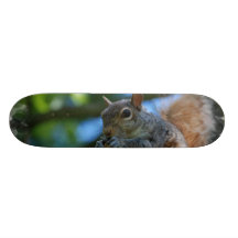 Producto del personalizar patín