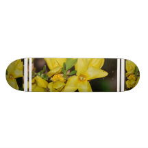 Producto del personalizar patín personalizado