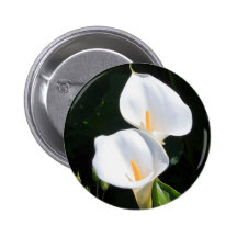 Producto del personalizar pin