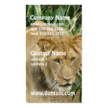 Producto del personalizar plantilla de tarjeta de negocio