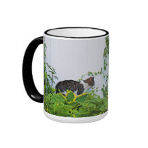 Producto del personalizar taza de café