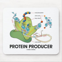Productor de la proteína (síntesis de la proteína  tapete de ratón