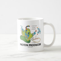 Productor de la proteína (síntesis de la proteína  tazas