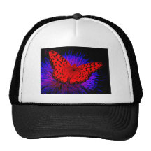 Productos de la mariposa de Crestone Colorado Gorro