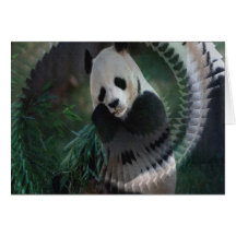 Productos de la panda tarjeta