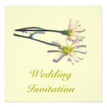 PRODUCTOS DEL BODA COMUNICADO PERSONALIZADO