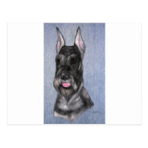 Productos del Schnauzer Postales