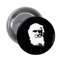 Productos Pins