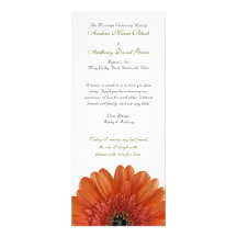 Programa anaranjado del boda de la margarita del G Anuncio