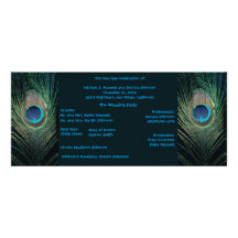 Programa oscuro del boda del pavo real anuncios  