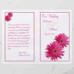 Programa rosado del boda de la margarita del Gerbe Tarjetas Informativas