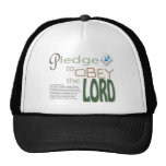 prometa para obedecer al SEÑOR Gorro De Camionero