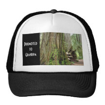 Promovido al abuelo se divierte los gorras de béis