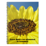 ¡Promueven a la gran mamá a la abuela! cuadernos