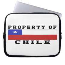Propiedad de Chile Manga Computadora