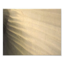 Propulsor Arte Fotografico