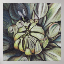 Protea Poster