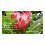 Protea rojo tarjetas de negocios