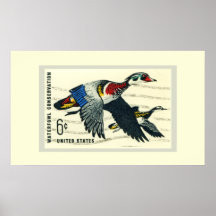 Protección de las aves acuáticas poster