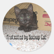 Protegido por el gato de reserva etiquetas  