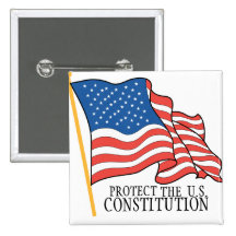 PROTEJA LA CONSTITUCIÓN PINS