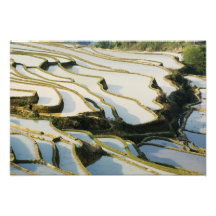 Provincia de Asia, China, Yunnan, condado de Yuany Arte Fotográfico