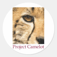 Proyecto Camelot (logotipo grande) Pegatinas