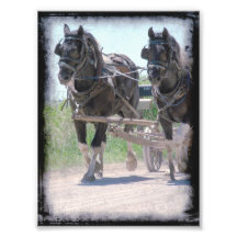 Proyectos de trabajo del Pinto de Amish Arte Con Fotos