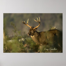 Prudente Poster
