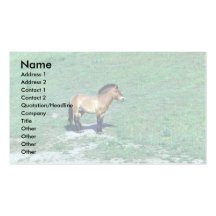(Przewalskii) caballo salvaje mongol Tarjeta De Negocio
