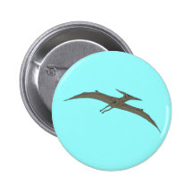pterodactylus button