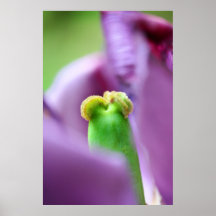 pueda poster