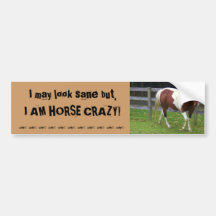 ¡Puedo parecer sano, pero SOY CABALLO LOCO! Pegatina De Parachoque