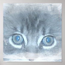Puedo ver en su poster del gato del alma