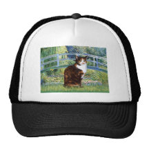 Puente - calicó de pelo corto gorras
