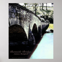 Puente de Burnside Posters